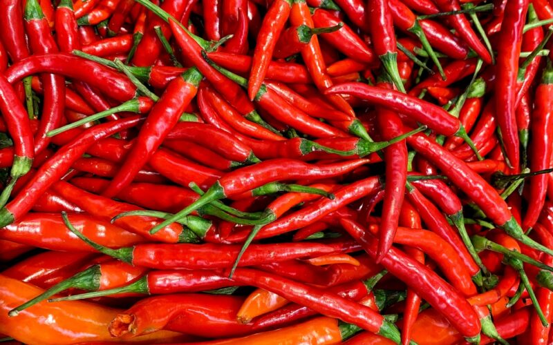 The Benefits of Red Chilli from WellHealthOrganic